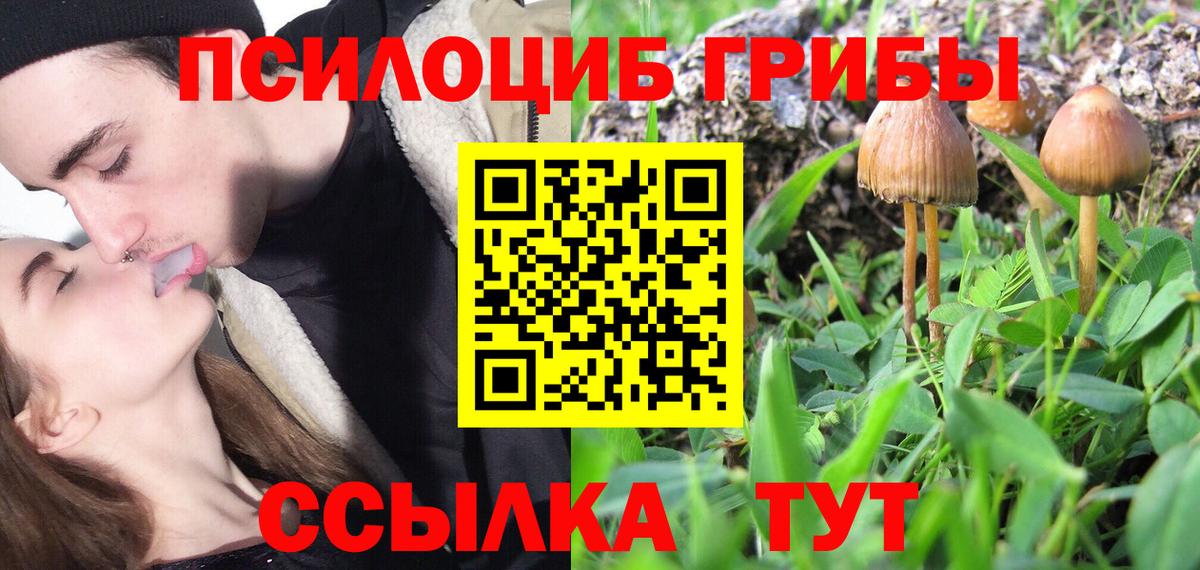 Псилоцибиновые грибы GOLDEN TEACHER  Вход с VPN  Белая Калитва 